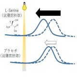 大橋 路弘